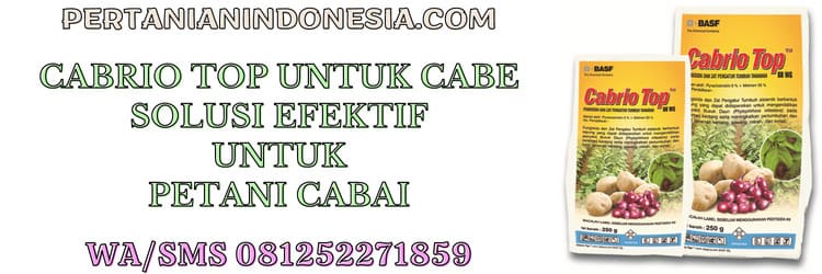 cabrio top,cabriotop,cabrio top 60 wg, basf,fungisida